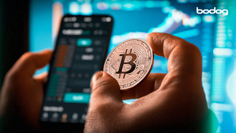 bitcoin criptomoeda crypto