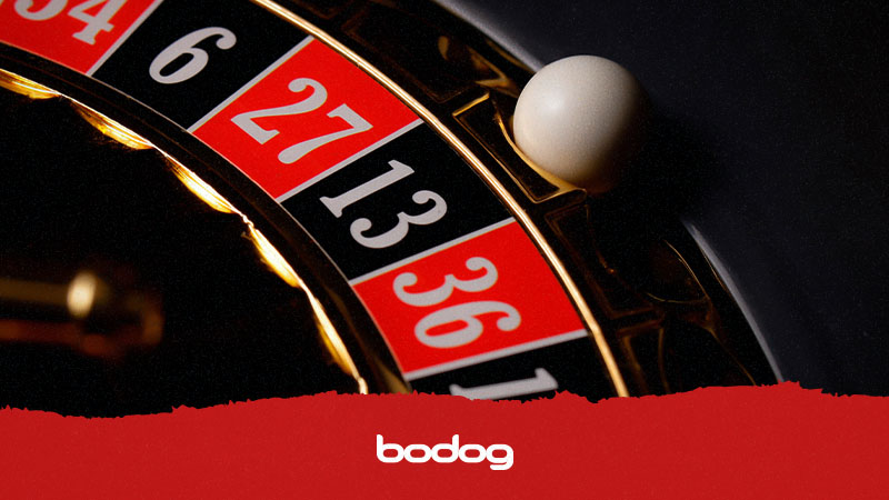 13 cassino online