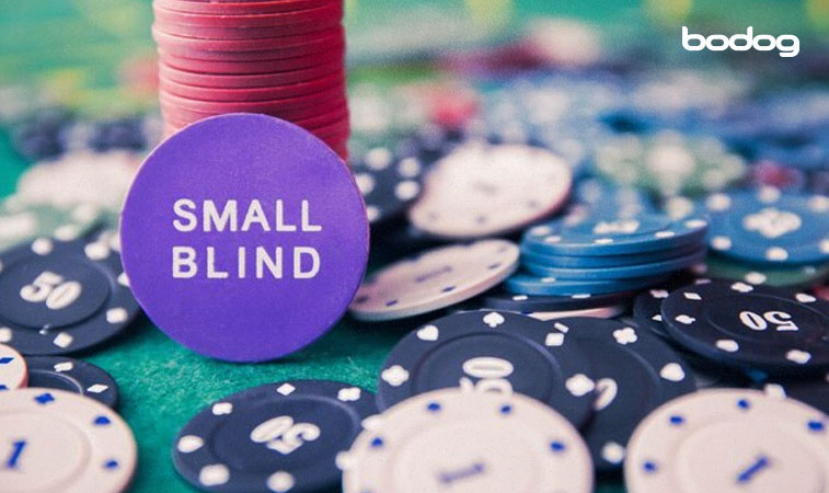 fichas de poker azuis e brancas sobre a mesa