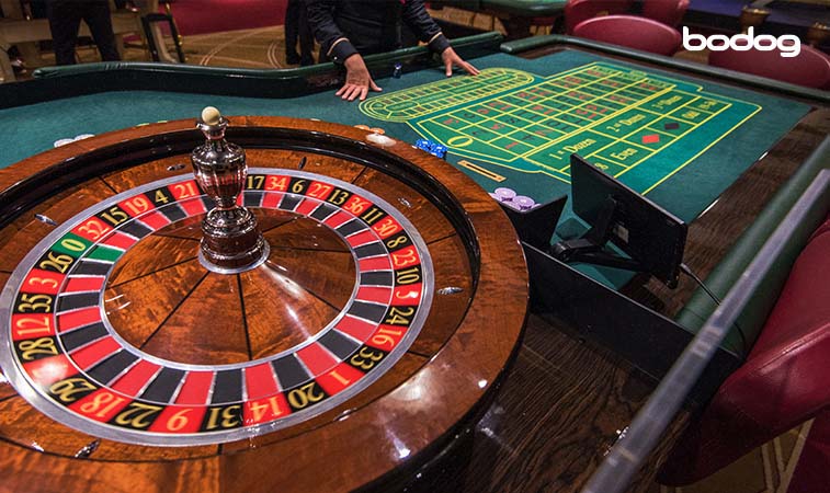 crupier ruleta casino y mesa