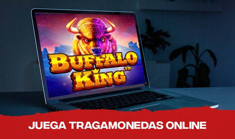 Computadora con slot buffalo king